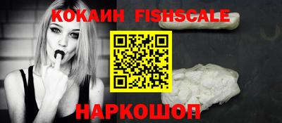 шишки Изобильный