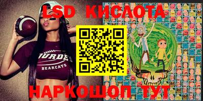 гидропоника Берёзовский