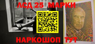 шишки Изобильный
