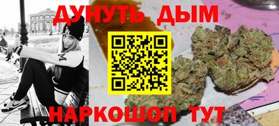 индика Бийск