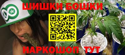 шишки Изобильный