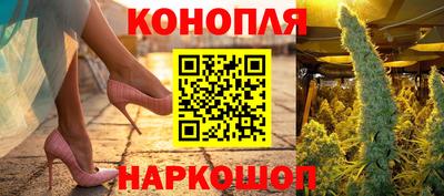шишки Изобильный