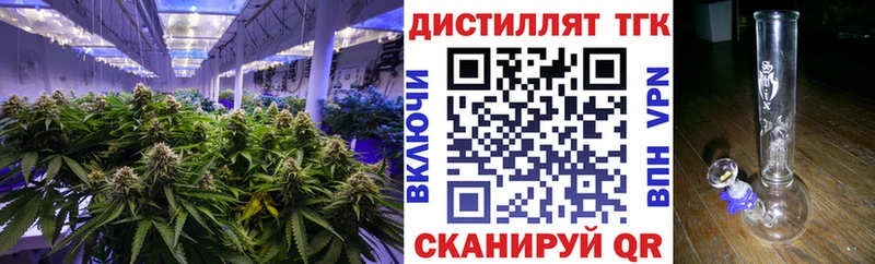 ТГК концентрат  OMG ONION  Карасук 