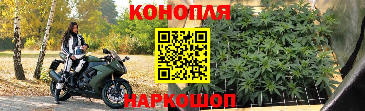 Конопля тримм Карасук